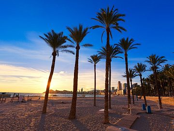 Zdjęcie kierunku: Alicante